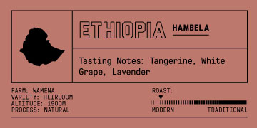 Ethiopia - Single Origin 1 - Light Roast