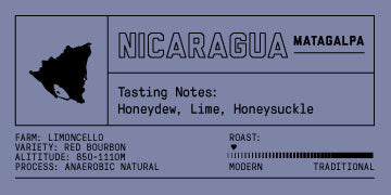 Nicaragua - Limoncello - Anaerobic Natural Process - 12 oz